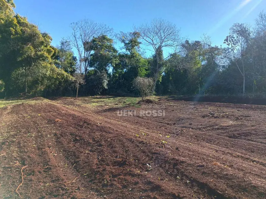 Foto 24 de Chácara à venda, 30000m2 em Limoeiro, Londrina - PR