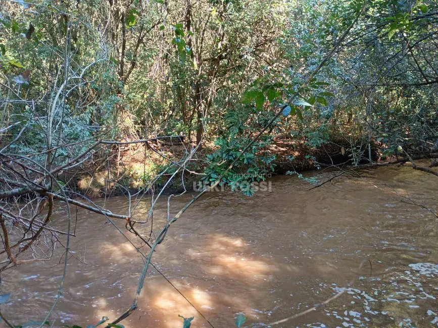 Foto 13 de Chácara à venda, 30000m2 em Limoeiro, Londrina - PR