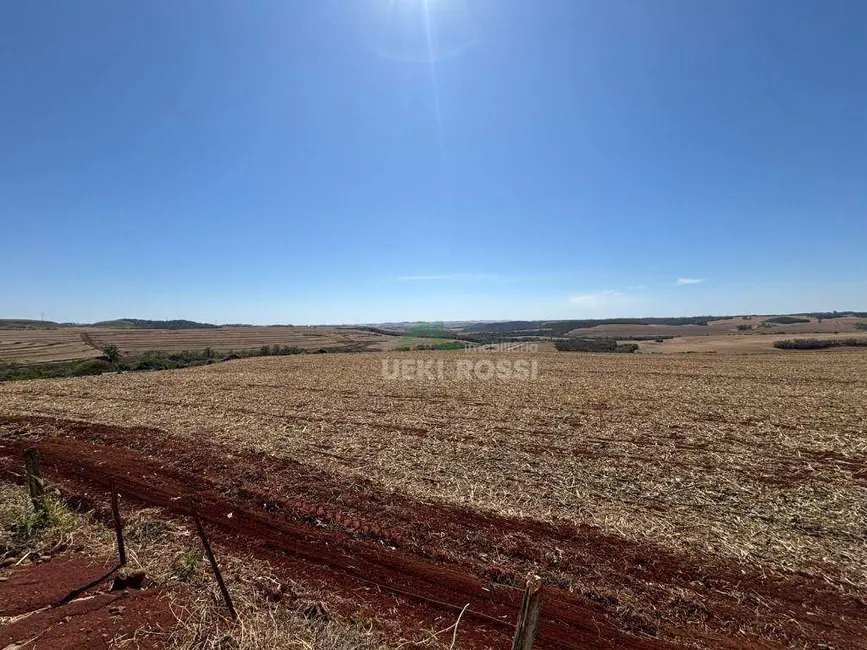 Fazenda / Haras à venda, 2323200m2 em Londrina - PR - imagem 3 Foto 3 de Fazenda / Haras à venda, 2323200m2 em Londrina - PR