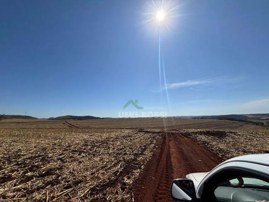 Fazenda / Haras à venda, 2323200m2 em Londrina - PR - imagem 8 Foto 8 de Fazenda / Haras à venda, 2323200m2 em Londrina - PR