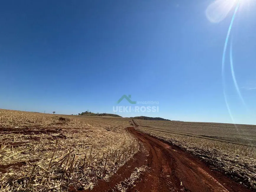 Fazenda / Haras à venda, 2323200m2 em Londrina - PR - imagem 6 Foto 6 de Fazenda / Haras à venda, 2323200m2 em Londrina - PR