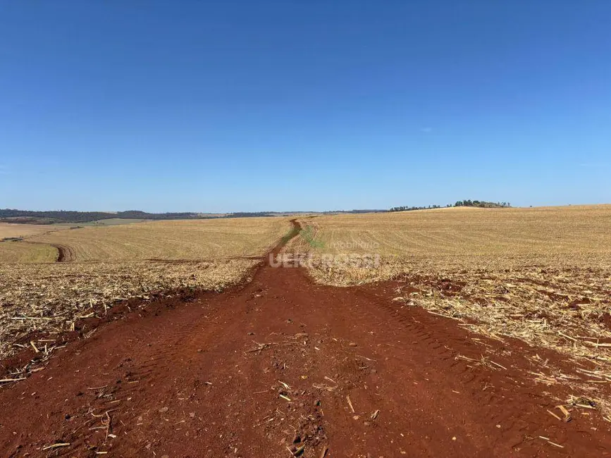 Fazenda / Haras à venda, 2323200m2 em Londrina - PR - imagem 5 Foto 5 de Fazenda / Haras à venda, 2323200m2 em Londrina - PR