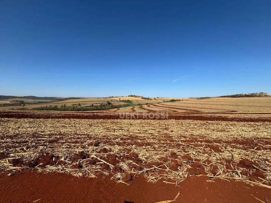 Fazenda / Haras à venda, 2323200m2 em Londrina - PR - imagem 7 Foto 7 de Fazenda / Haras à venda, 2323200m2 em Londrina - PR