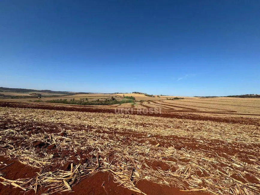 Fazenda / Haras à venda, 2323200m2 em Londrina - PR - imagem 9 Foto 9 de Fazenda / Haras à venda, 2323200m2 em Londrina - PR
