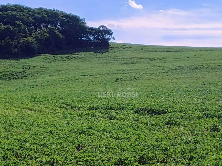 Fazenda / Haras à venda, 2250600m2 em Londrina - PR - imagem 7 Foto 7 de Fazenda / Haras à venda, 2250600m2 em Londrina - PR