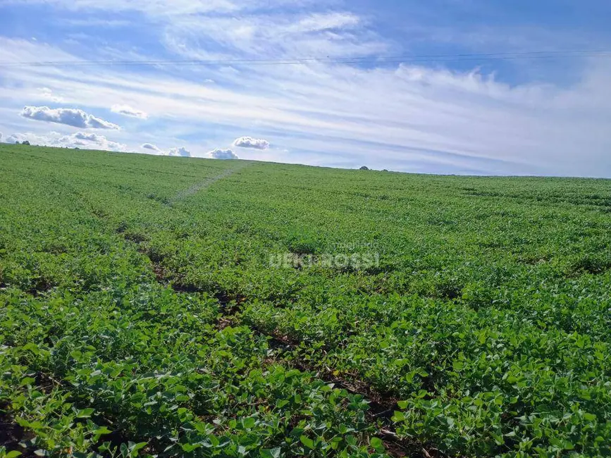 Fazenda / Haras à venda, 2250600m2 em Londrina - PR - imagem 5 Foto 5 de Fazenda / Haras à venda, 2250600m2 em Londrina - PR