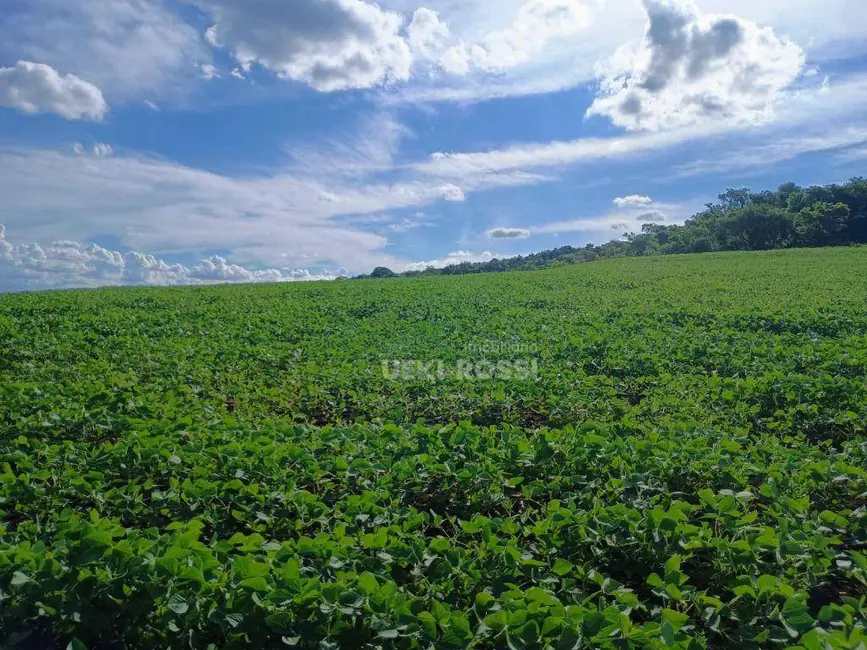 Fazenda / Haras à venda, 2250600m2 em Londrina - PR - imagem 4 Foto 4 de Fazenda / Haras à venda, 2250600m2 em Londrina - PR