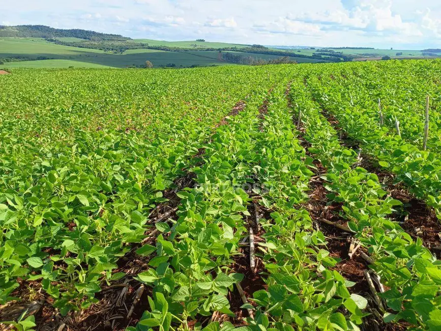 Fazenda / Haras à venda, 2250600m2 em Londrina - PR - imagem 3 Foto 3 de Fazenda / Haras à venda, 2250600m2 em Londrina - PR