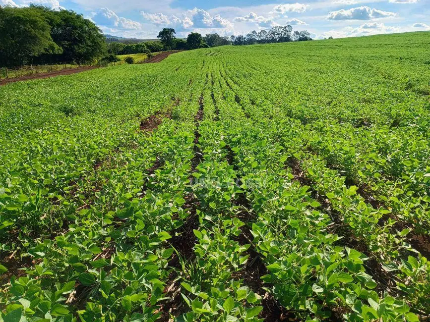 Fazenda / Haras à venda, 2250600m2 em Londrina - PR - imagem 2 Foto 2 de Fazenda / Haras à venda, 2250600m2 em Londrina - PR