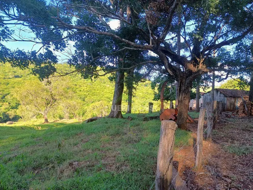 Foto 7 de Fazenda / Haras à venda, 5275600m2 em Faxinal - PR