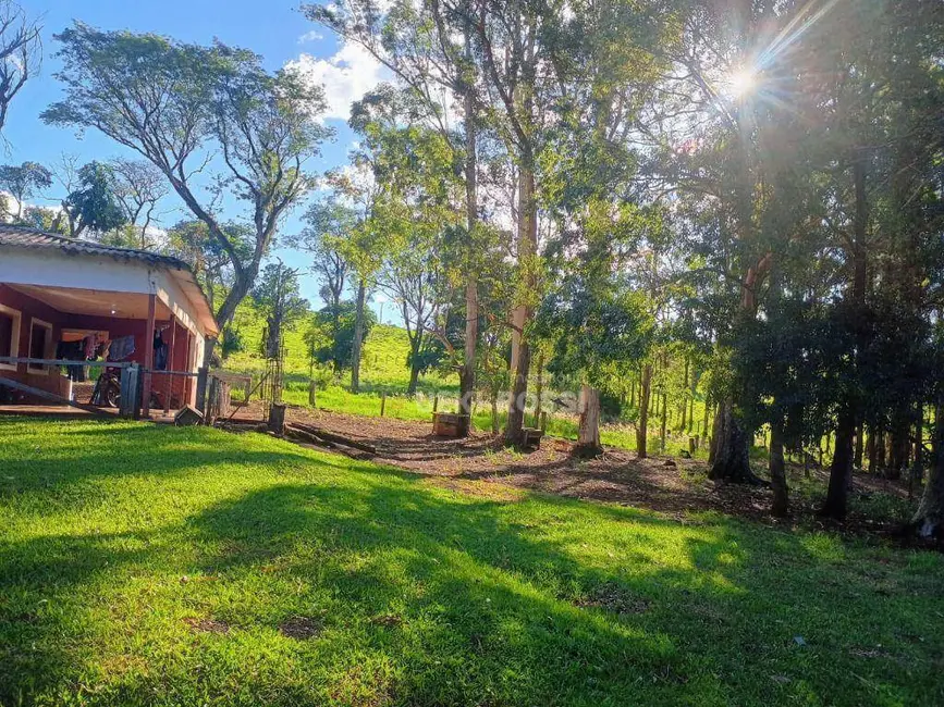 Foto 8 de Fazenda / Haras à venda, 5275600m2 em Faxinal - PR