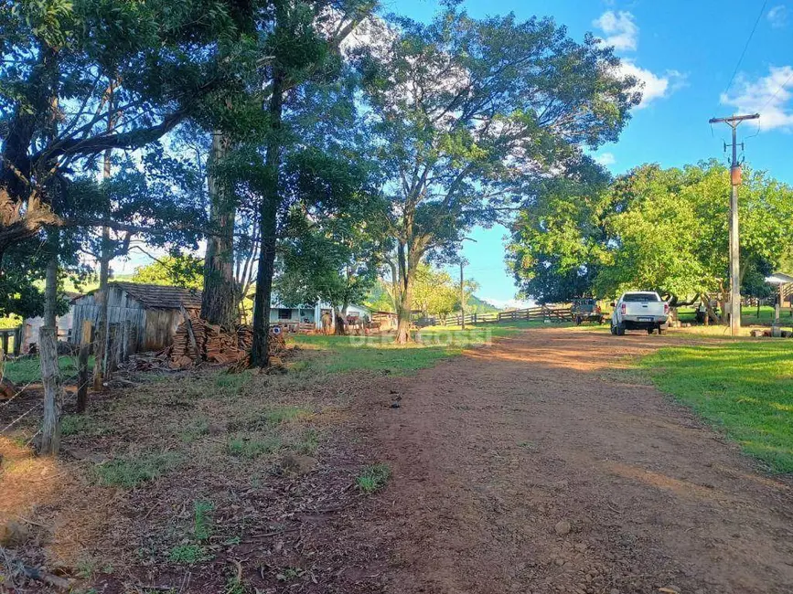 Foto 5 de Fazenda / Haras à venda, 5275600m2 em Faxinal - PR