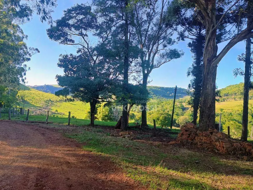 Foto 9 de Fazenda / Haras à venda, 5275600m2 em Faxinal - PR