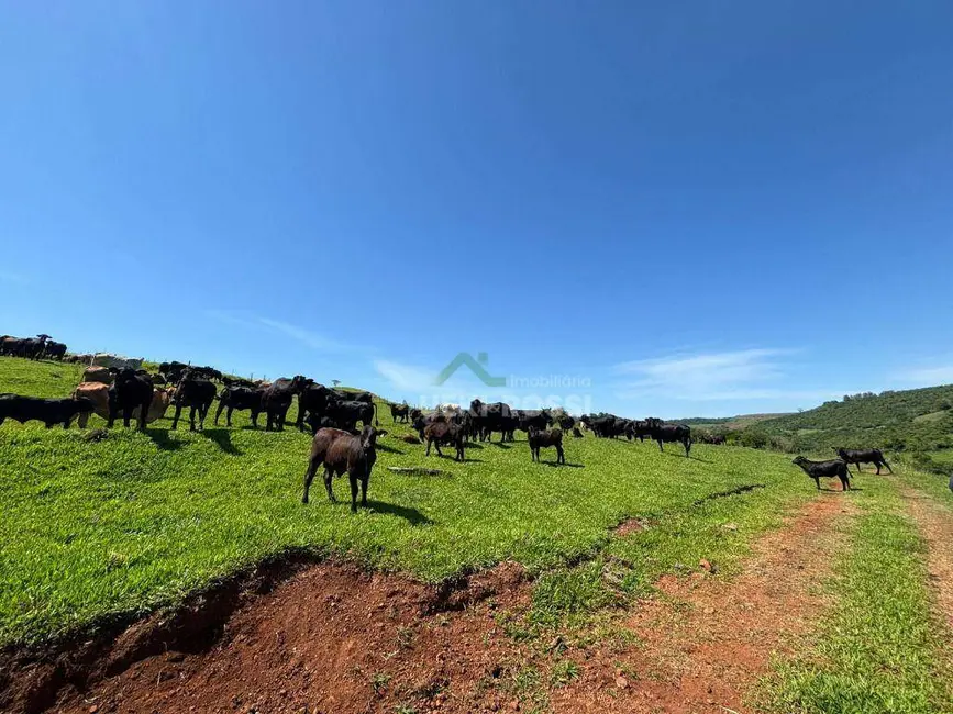 Fazenda / Haras à venda, 5808000m2 em Londrina - PR - imagem 1 Foto 1 de Fazenda / Haras à venda, 5808000m2 em Londrina - PR