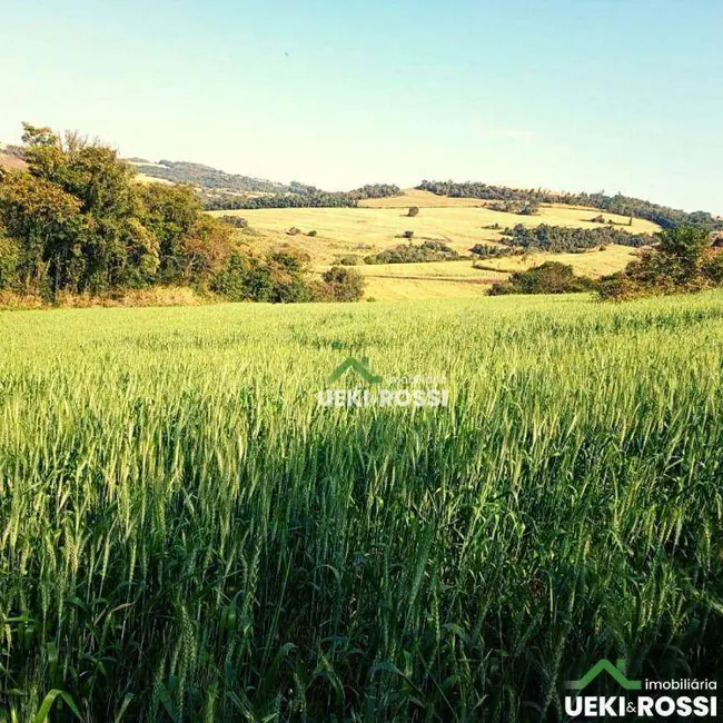 Sítio / Rancho à venda, 338800m2 em Londrina - PR - imagem 7 Foto 7 de Sítio / Rancho à venda, 338800m2 em Londrina - PR