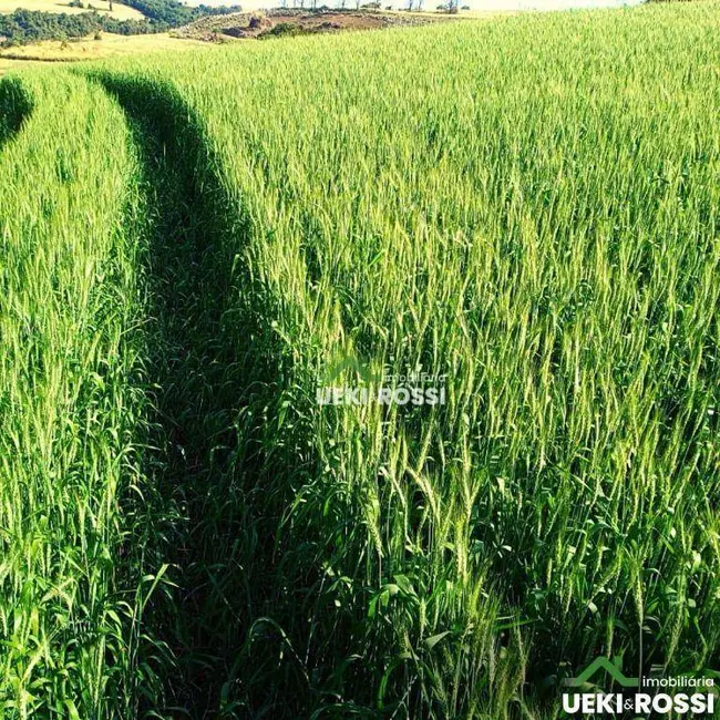 Sítio / Rancho à venda, 338800m2 em Londrina - PR - imagem 3 Foto 3 de Sítio / Rancho à venda, 338800m2 em Londrina - PR