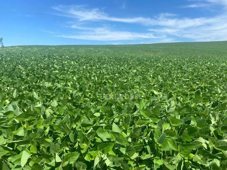 Fazenda / Haras à venda, 968000m2 em Limoeiro, Londrina - PR - imagem 1 Foto 1 de Fazenda / Haras à venda, 968000m2 em Limoeiro, Londrina - PR