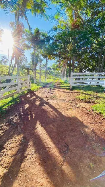 Foto 4 de Fazenda / Haras à venda, 2855600m2 em Sao Jeronimo Da Serra - PR