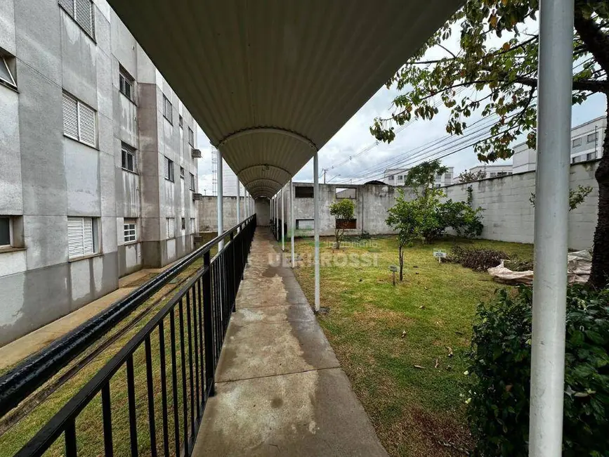 Foto 3 de Apartamento com 2 quartos à venda, 60m2 em Jardim São Paulo II, Londrina - PR