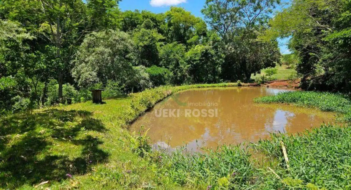 Foto 3 de Sítio / Rancho à venda, 532400m2 em Cambe - PR
