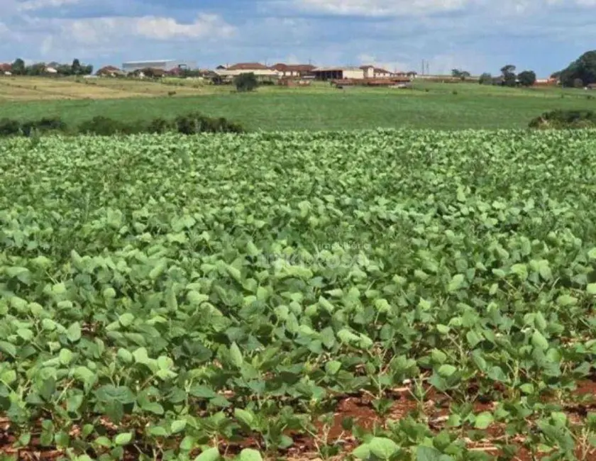 Foto 7 de Sítio / Rancho à venda, 532400m2 em Cambe - PR