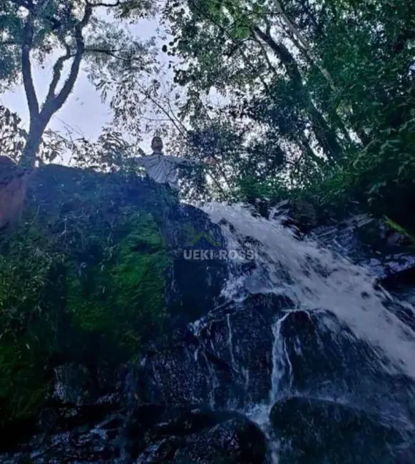 Foto 4 de Sítio / Rancho à venda, 532400m2 em Cambe - PR