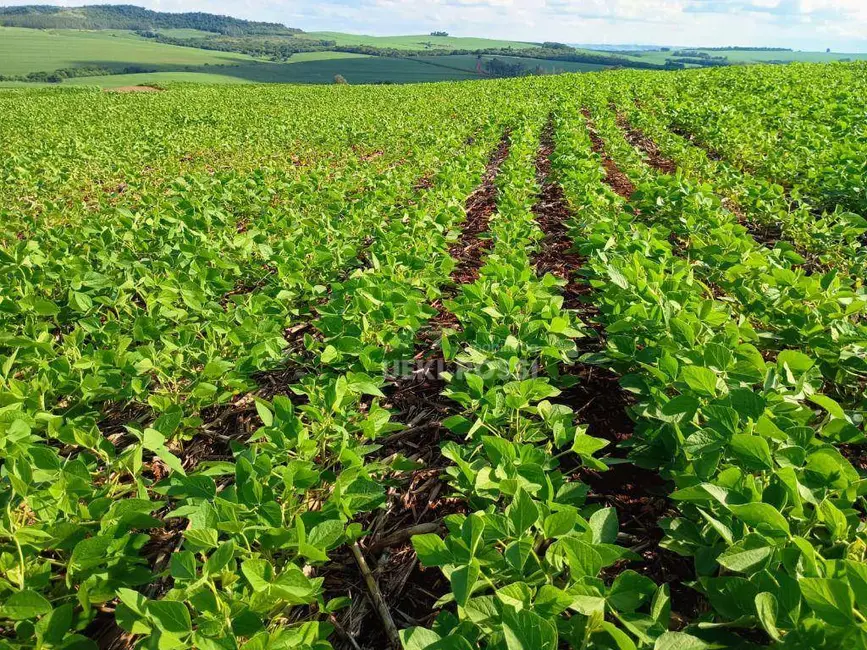 Foto 2 de Sítio / Rancho à venda, 314600m2 em Londrina - PR