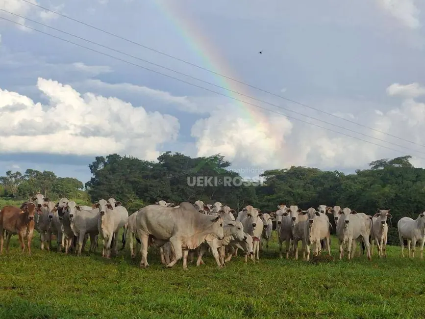 Foto 1 de Fazenda / Haras à venda, 5360000m2 em Curvelo - MG