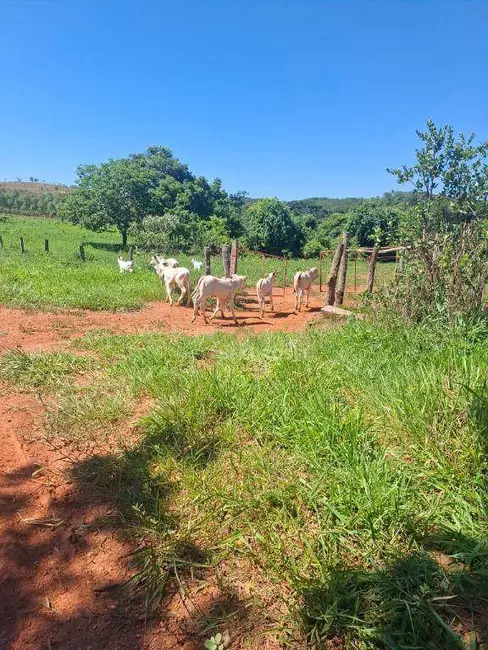 Foto 9 de Fazenda / Haras à venda, 5360000m2 em Curvelo - MG