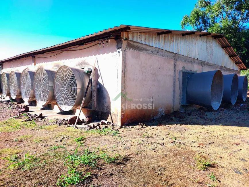 Foto 6 de Sítio / Rancho à venda, 144958m2 em Sertanopolis - PR