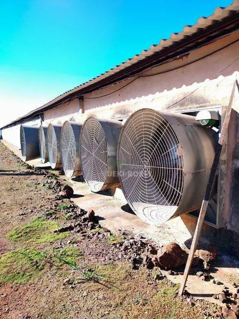 Foto 7 de Sítio / Rancho à venda, 144958m2 em Sertanopolis - PR