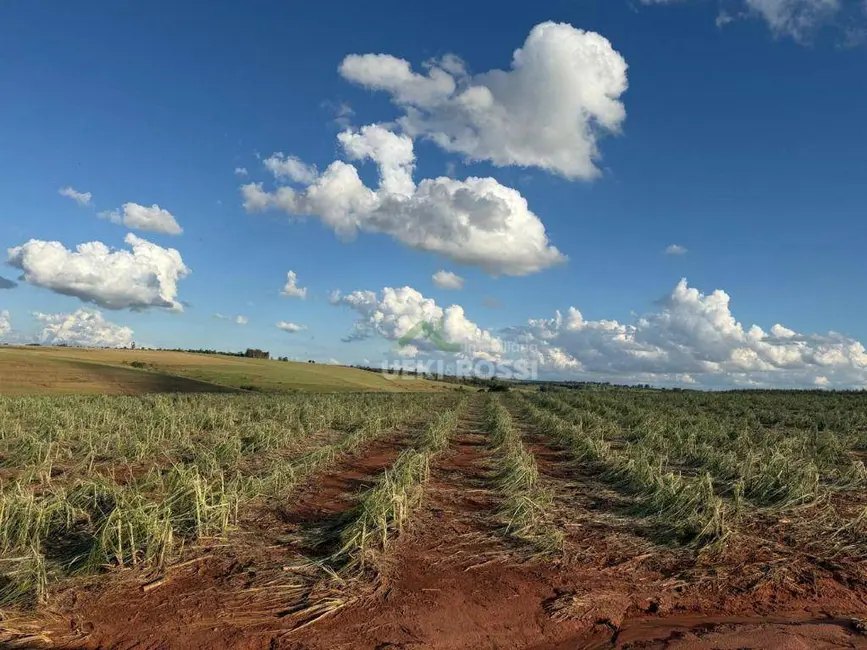 Foto 2 de Fazenda / Haras à venda, 4840000m2 em Centro, Jaguapita - PR