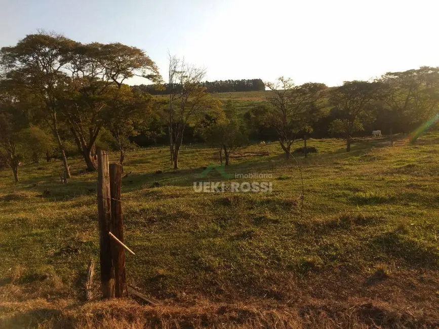 Foto 3 de Fazenda / Haras à venda, 4840000m2 em Centro, Jaguapita - PR