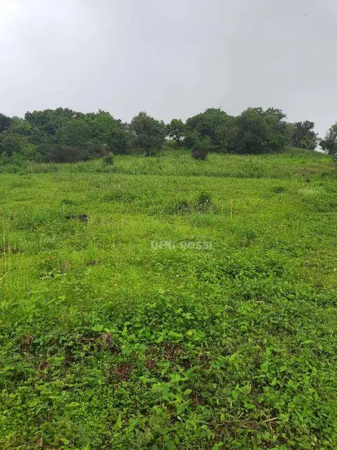 Chácara à venda, 40000m2 em Leste Oeste, Londrina - PR - imagem 2 Foto 2 de Chácara à venda, 40000m2 em Leste Oeste, Londrina - PR