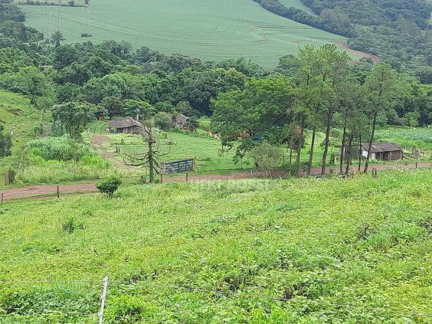 Chácara à venda, 40000m2 em Leste Oeste, Londrina - PR - imagem 4 Foto 4 de Chácara à venda, 40000m2 em Leste Oeste, Londrina - PR