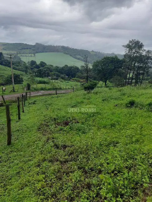 Chácara à venda, 40000m2 em Leste Oeste, Londrina - PR - imagem 5 Foto 5 de Chácara à venda, 40000m2 em Leste Oeste, Londrina - PR