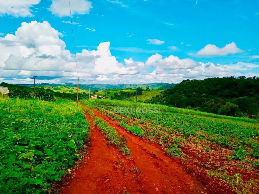 Sítio / Rancho à venda, 108900m2 em Londrina - PR - imagem 7 Foto 7 de Sítio / Rancho à venda, 108900m2 em Londrina - PR