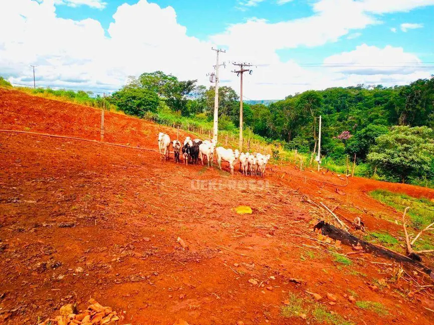 Sítio / Rancho à venda, 108900m2 em Londrina - PR - imagem 2 Foto 2 de Sítio / Rancho à venda, 108900m2 em Londrina - PR