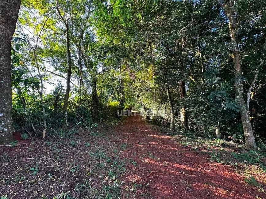Chácara à venda, 48400m2 em Gleba Fazenda Palhano, Londrina - PR - imagem 6 Foto 6 de Chácara à venda, 48400m2 em Gleba Fazenda Palhano, Londrina - PR