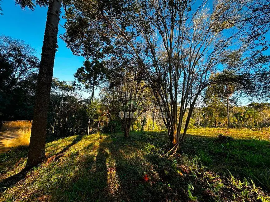Chácara à venda, 48400m2 em Gleba Fazenda Palhano, Londrina - PR - imagem 7 Foto 7 de Chácara à venda, 48400m2 em Gleba Fazenda Palhano, Londrina - PR