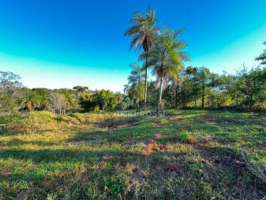 Chácara à venda, 48400m2 em Gleba Fazenda Palhano, Londrina - PR - imagem 4 Foto 4 de Chácara à venda, 48400m2 em Gleba Fazenda Palhano, Londrina - PR