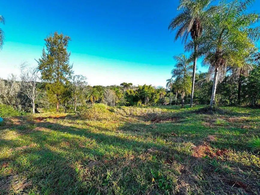 Chácara à venda, 48400m2 em Gleba Fazenda Palhano, Londrina - PR - imagem 8 Foto 8 de Chácara à venda, 48400m2 em Gleba Fazenda Palhano, Londrina - PR
