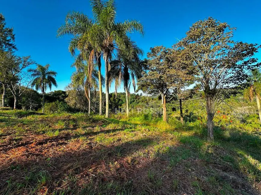 Chácara à venda, 48400m2 em Gleba Fazenda Palhano, Londrina - PR - imagem 2 Foto 2 de Chácara à venda, 48400m2 em Gleba Fazenda Palhano, Londrina - PR