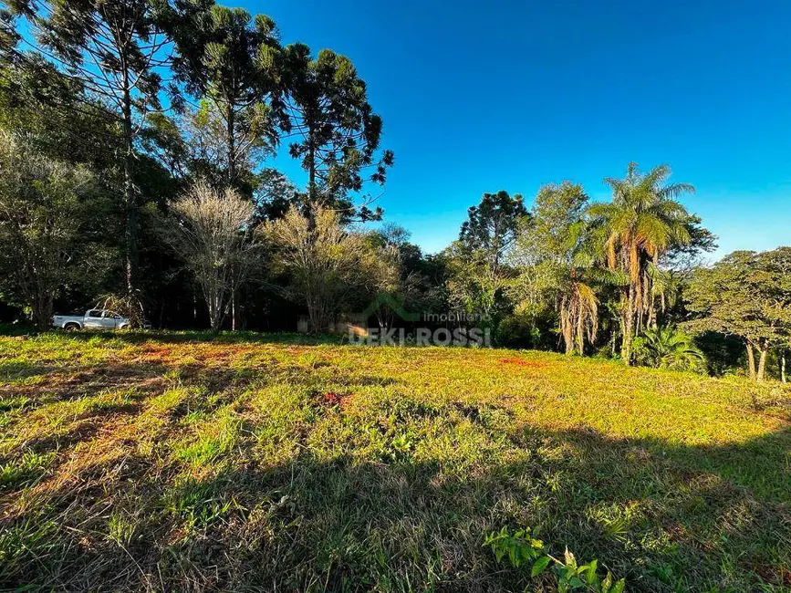 Chácara à venda, 48400m2 em Gleba Fazenda Palhano, Londrina - PR - imagem 3 Foto 3 de Chácara à venda, 48400m2 em Gleba Fazenda Palhano, Londrina - PR