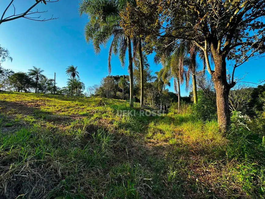Chácara à venda, 48400m2 em Gleba Fazenda Palhano, Londrina - PR - imagem 5 Foto 5 de Chácara à venda, 48400m2 em Gleba Fazenda Palhano, Londrina - PR