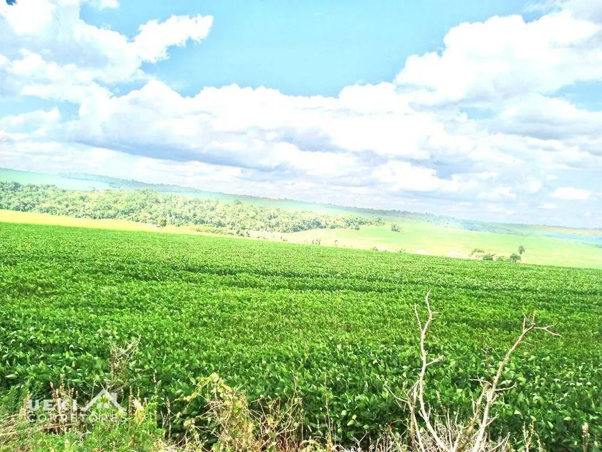 Sítio / Rancho à venda, 314600m2 em Londrina - PR - imagem 4 Foto 4 de Sítio / Rancho à venda, 314600m2 em Londrina - PR