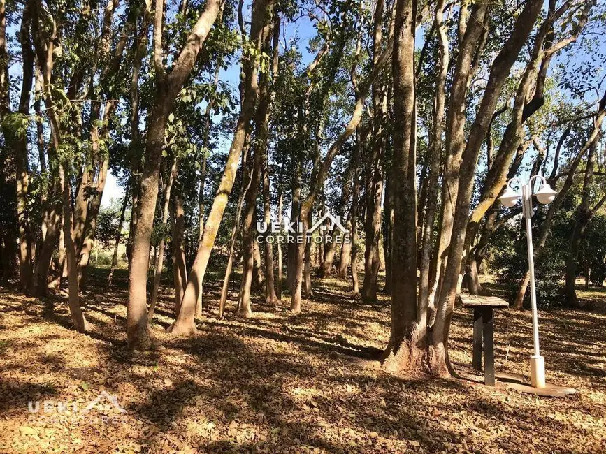 Foto 23 de Chácara à venda, 7000m2 em Londrina - PR