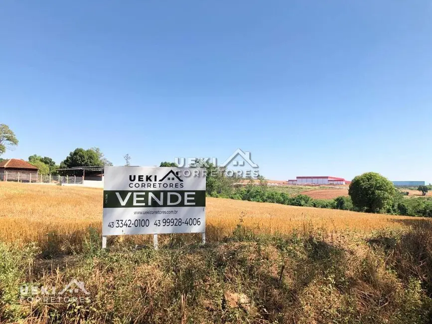 Terreno / Lote à venda, 24596m2 em Eucaliptos, Londrina - PR - imagem 5 Foto 5 de Terreno / Lote à venda, 24596m2 em Eucaliptos, Londrina - PR