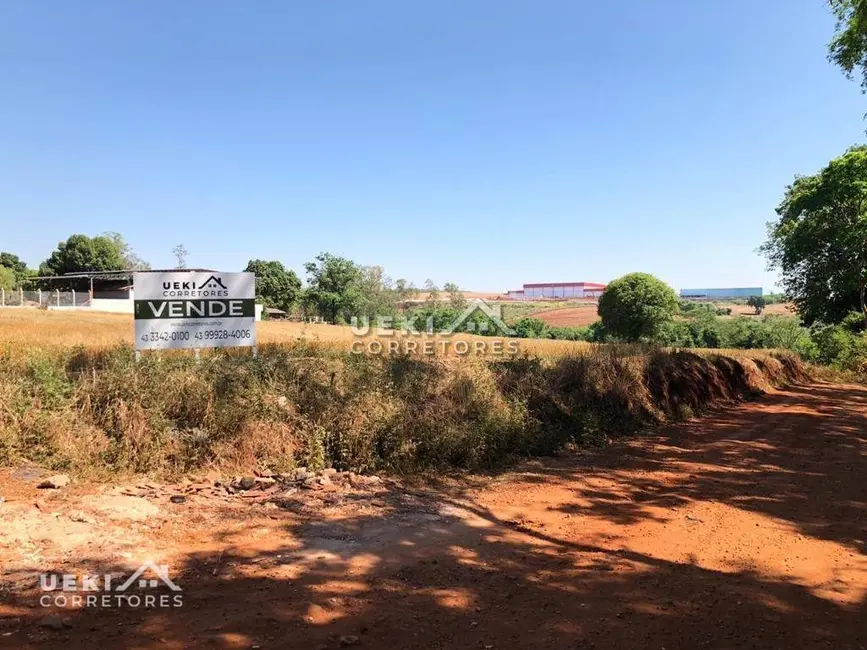 Terreno / Lote à venda, 24596m2 em Eucaliptos, Londrina - PR - imagem 7 Foto 7 de Terreno / Lote à venda, 24596m2 em Eucaliptos, Londrina - PR