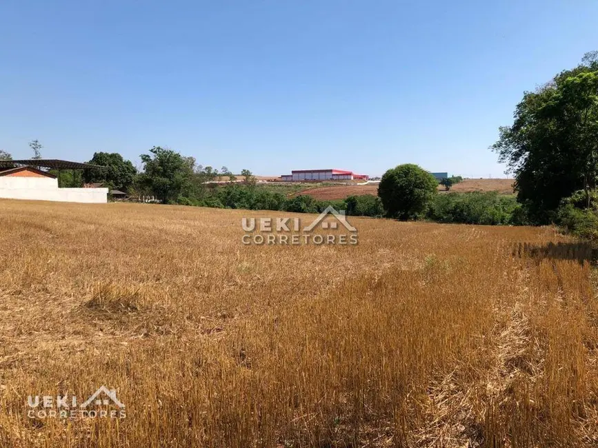 Terreno / Lote à venda, 24596m2 em Eucaliptos, Londrina - PR - imagem 3 Foto 3 de Terreno / Lote à venda, 24596m2 em Eucaliptos, Londrina - PR